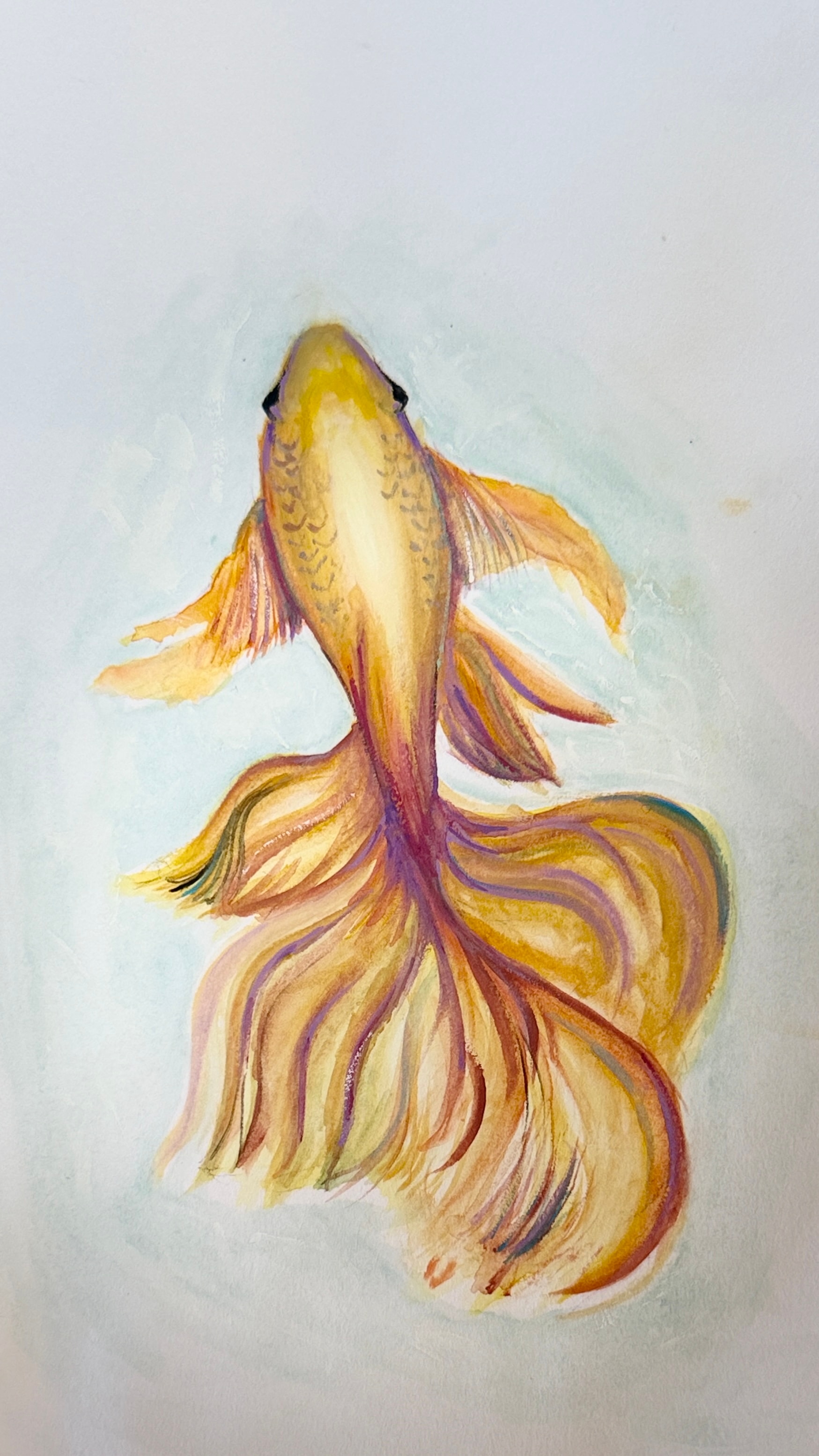 Golden Koi